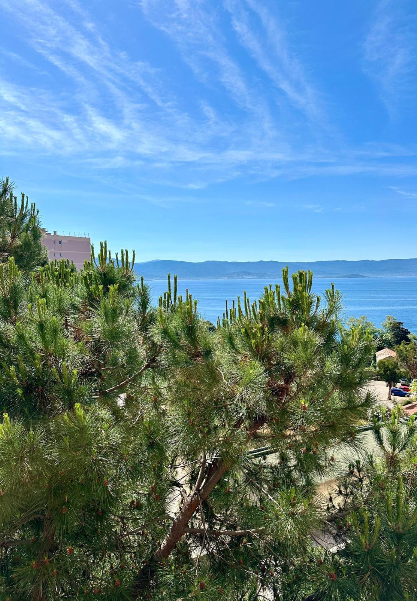 Grand Terrasse Vue Sur Et Parking Apartment *